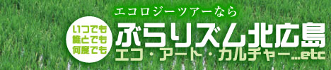 ���ӡ��ȡ��֤�ꥺ���̹���