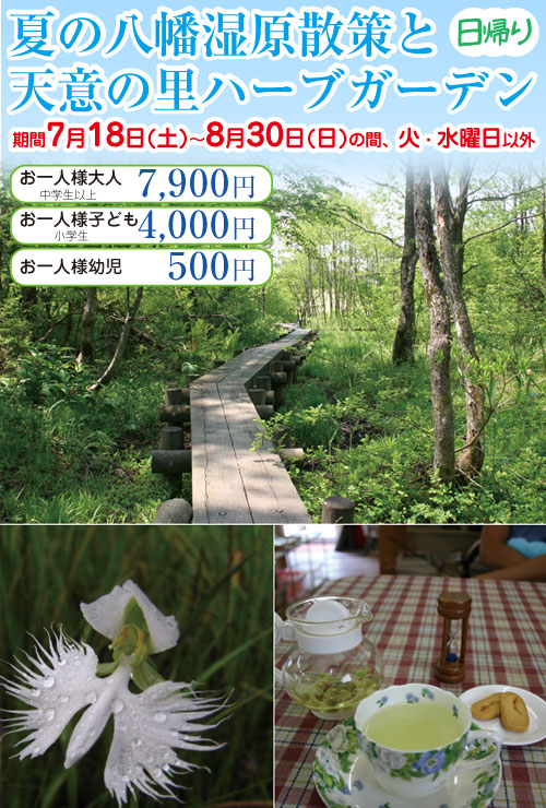 夏の八幡湿原散策と天意の里ハーブガーデン
