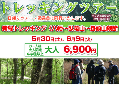 新緑トレッキング《八幡〜臥竜山〜掛頭山縦断》健脚コース