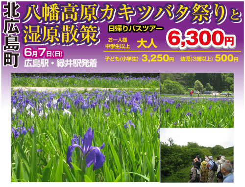八幡高原カキツバタ祭り