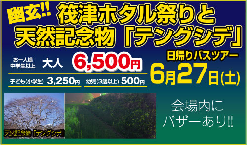 幽玄!!筏津ホタル祭りと天然記念物「テングシデ」