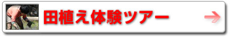 09spsu_taue.jpg
