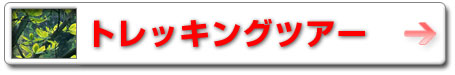 カテゴリーへジャンプ
