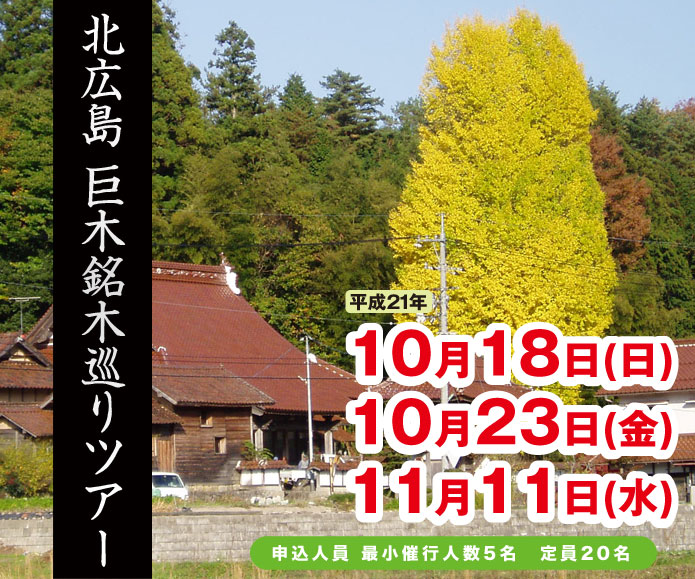 bigtree1
