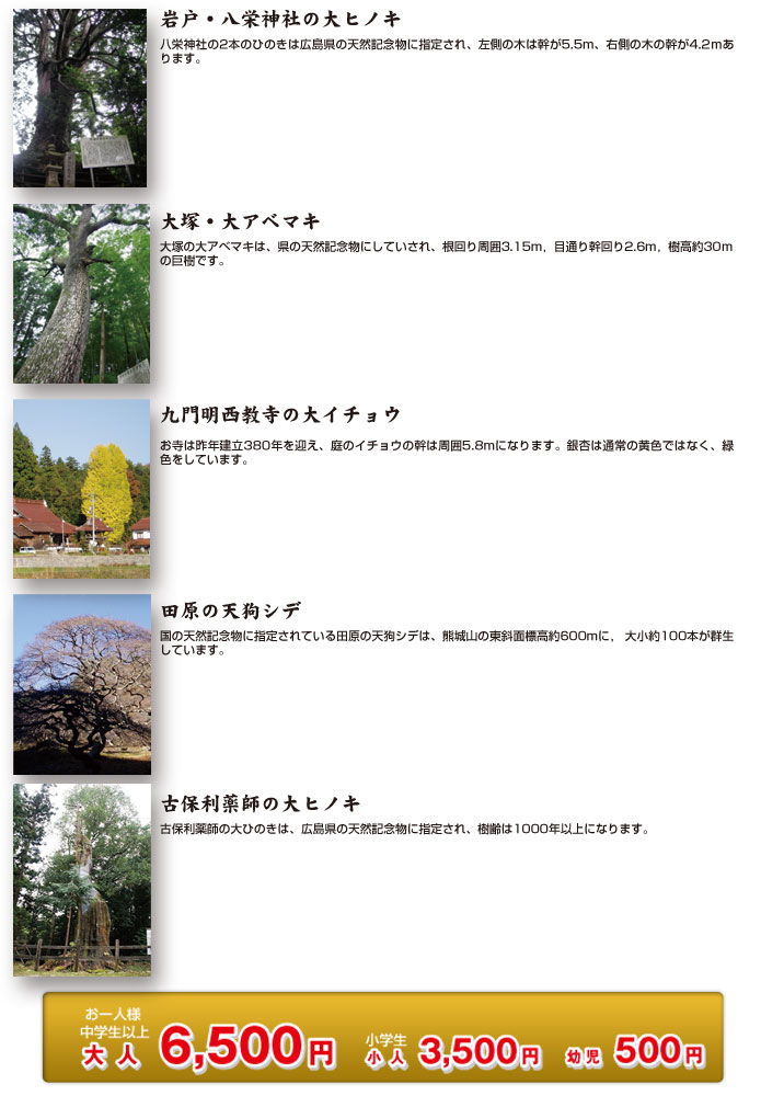 bigtree2