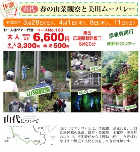 山代・春の山菜観察と美川ムーバレー