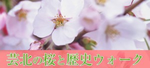 芸北の桜と歴史ウォーク 