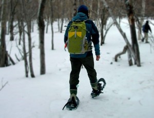 snowshu