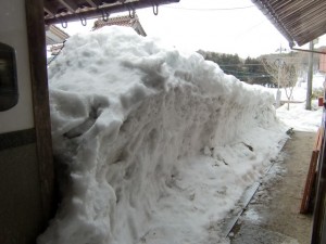 雪