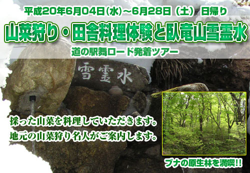 山菜狩り・田舎料理体験と臥竜山雪霊水