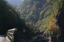 現地情報・奥滝山