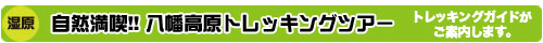 自然満喫!! 八幡高原トレッキングツアー